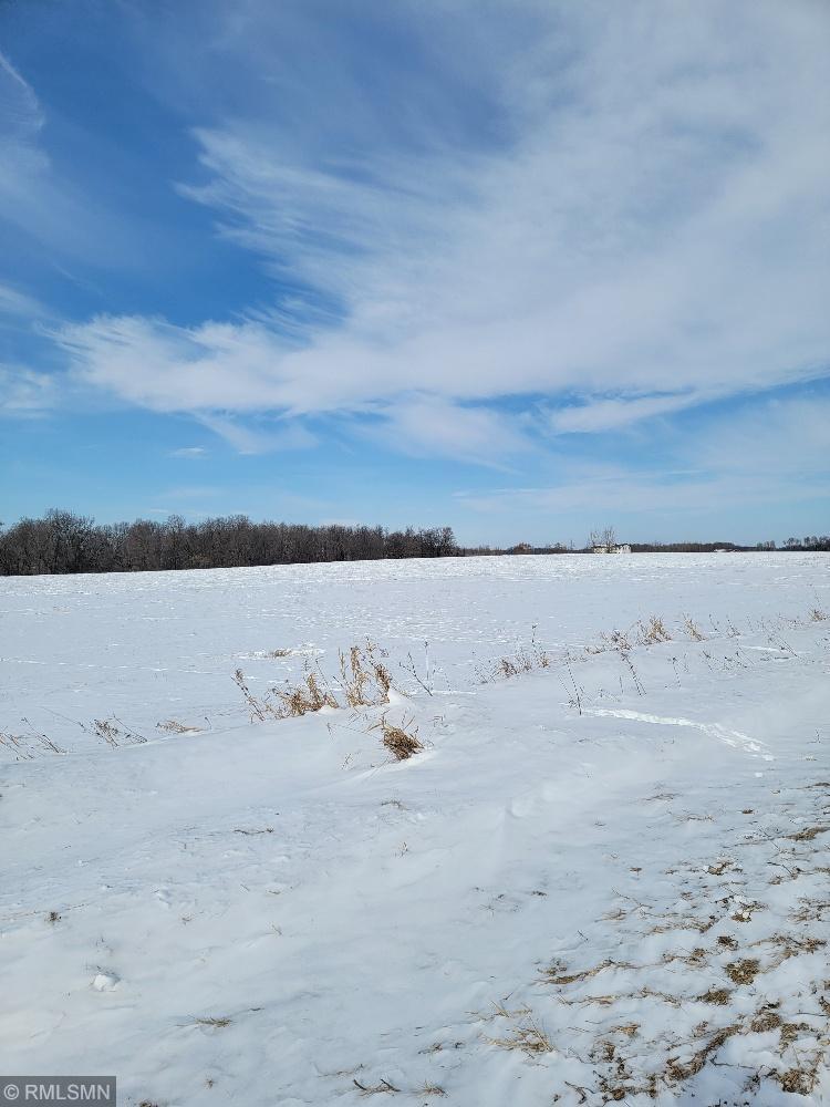 XXX County Rd 82 , Wykeham Twp, MN 56446