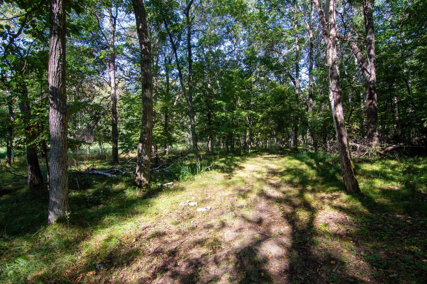 TBD Deacons Way, Pequot Lakes, MN 56472