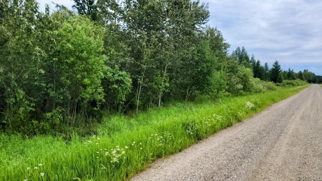 xxx Heino Road, Angora, MN 55703