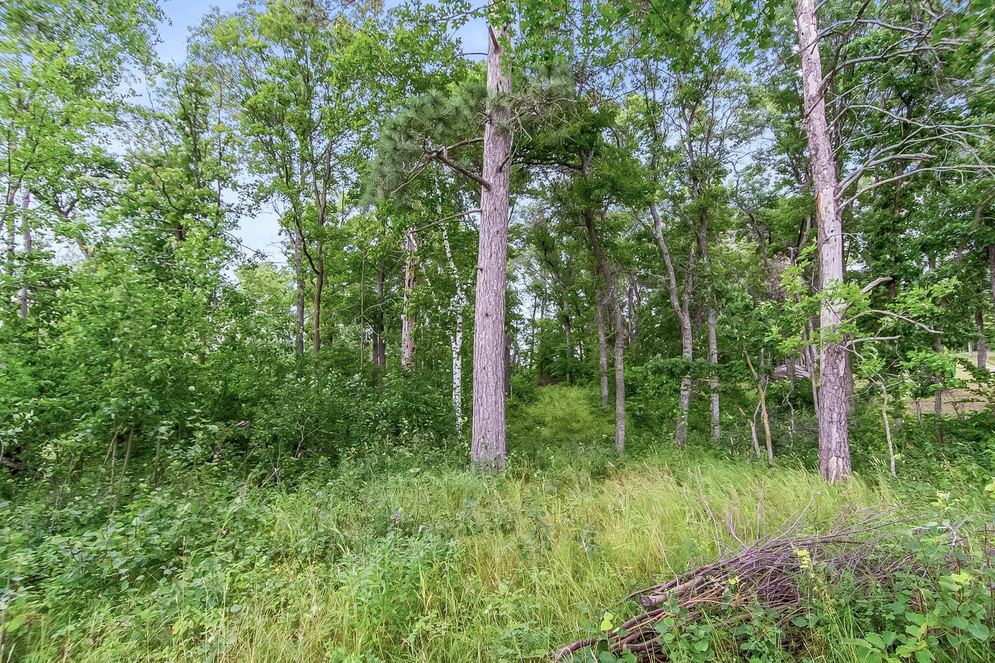 Lot 4 Blk 1 County Road 145 , Pequot Lakes, MN 56472