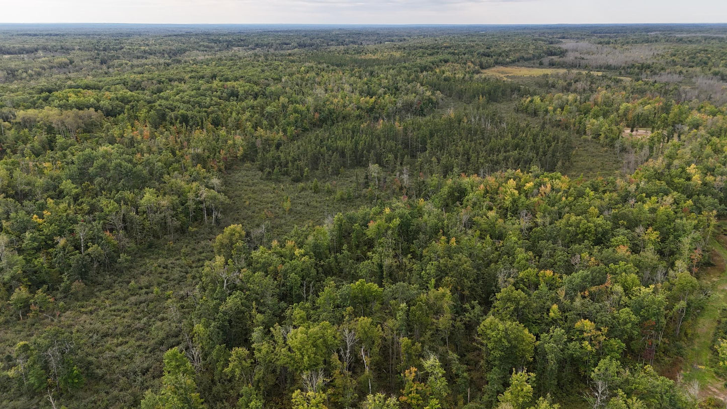 TBD Rainbow Trout Trail , Sandstone, MN 55072