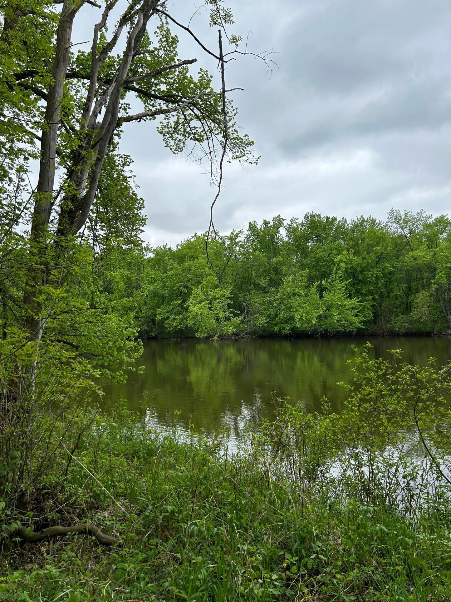 TBD Calico Trail, Motley, MN 56466