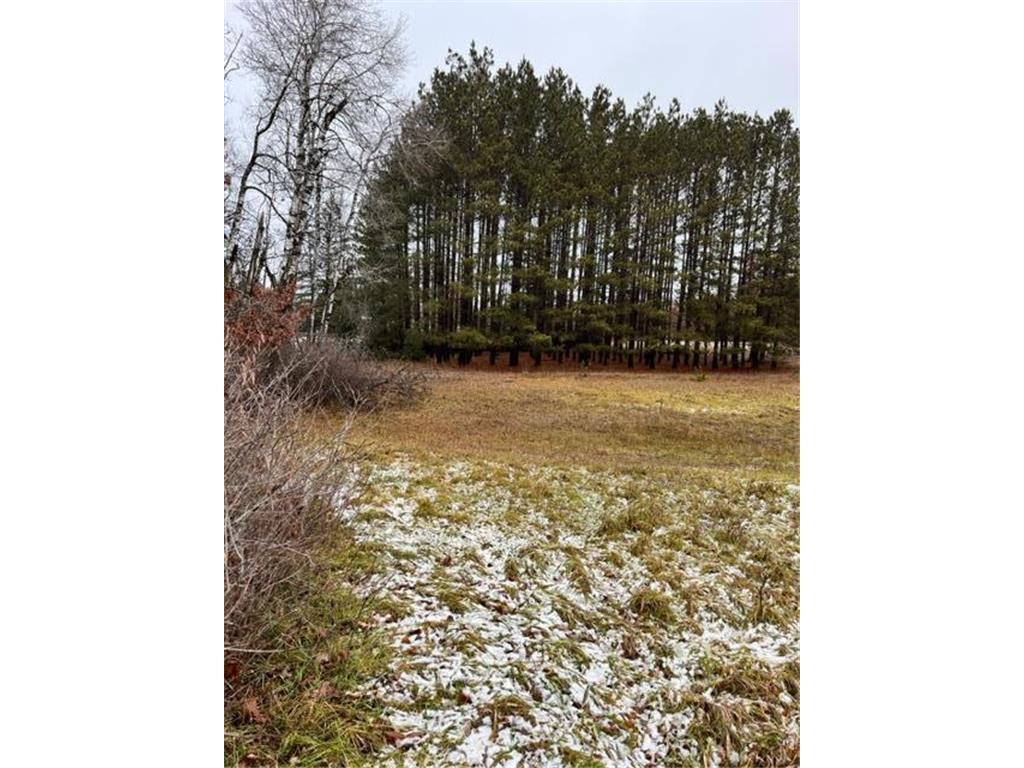 TBD Mountain Ash Road, Baxter, MN 56425