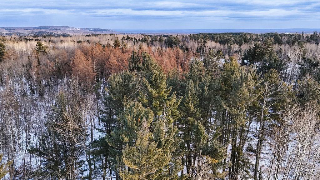 xx Larson Road, Thomson Twp, MN 55733