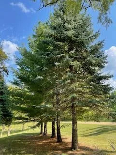 22720 Balsa Circle, Cedar Lake Twp, MN 55372