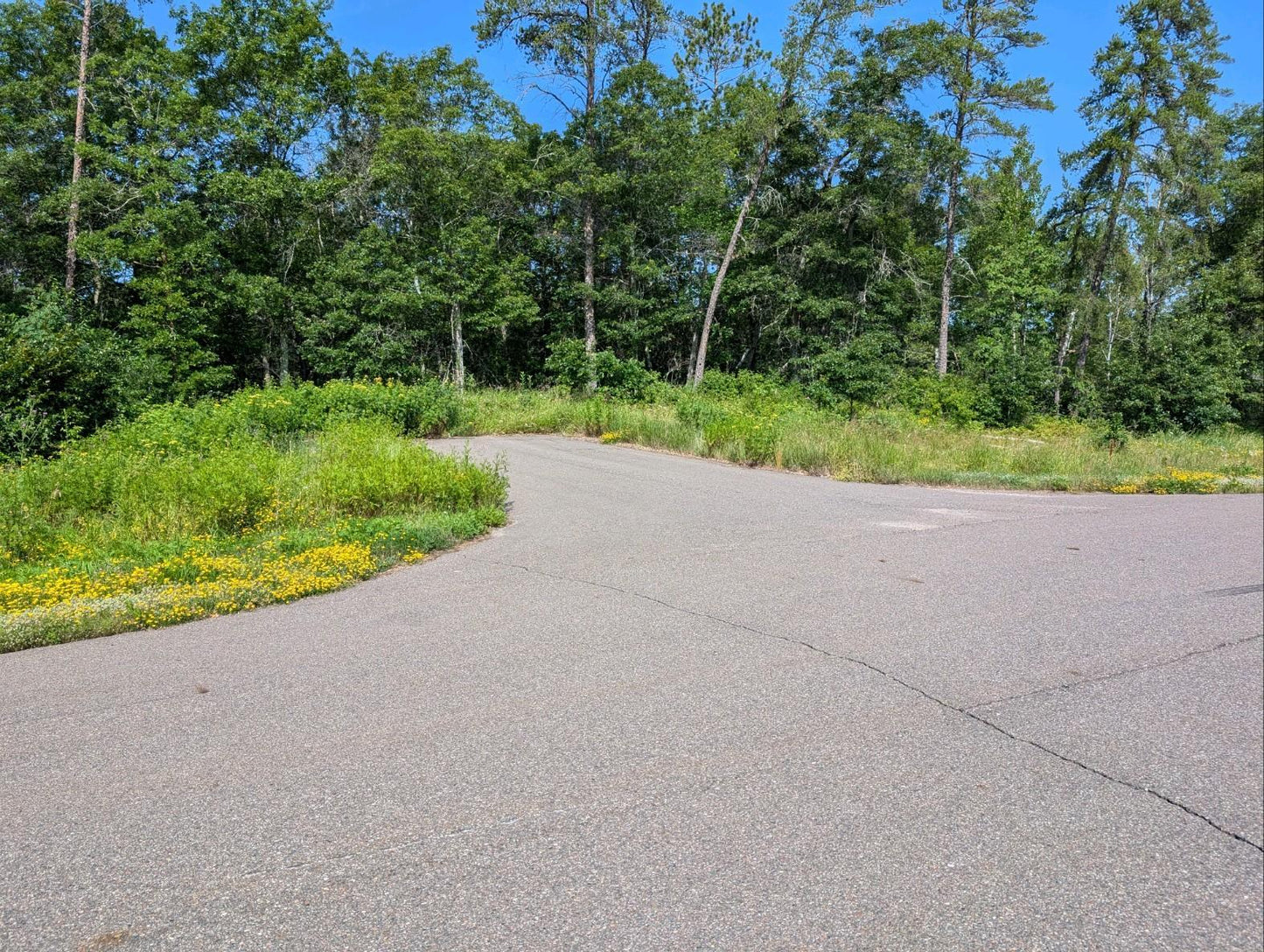 TBD MN Hwy 371 , Pequot Lakes, MN 56472