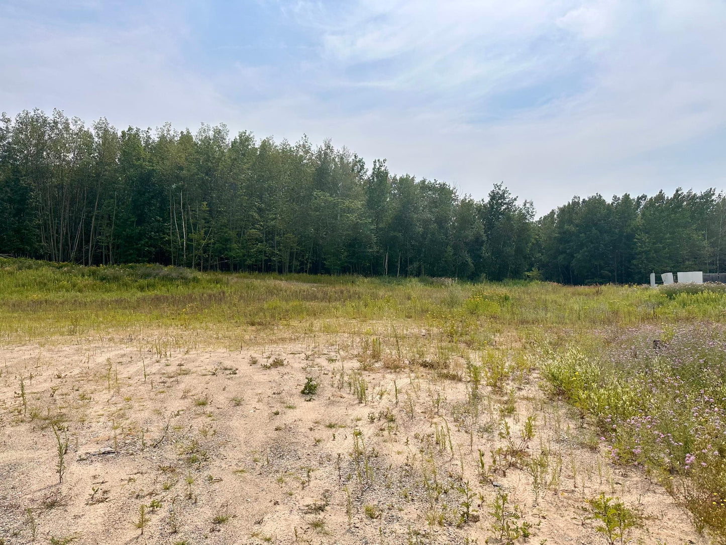 TBD-Lot 8 Ottertail Road, Walker, MN 56484