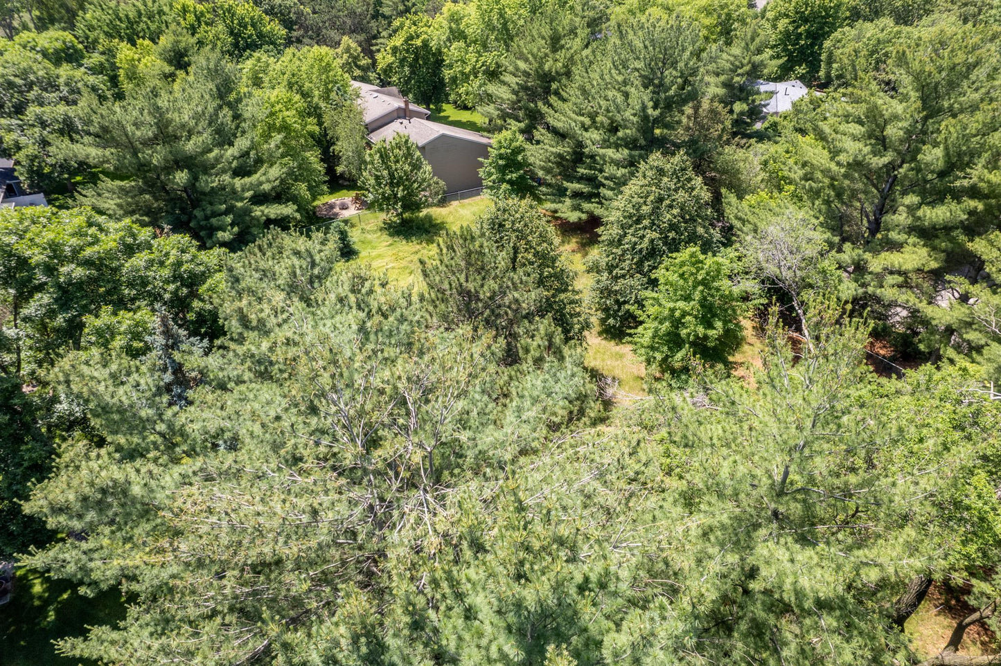 XX Buffalo Lane, Shoreview, MN 55126