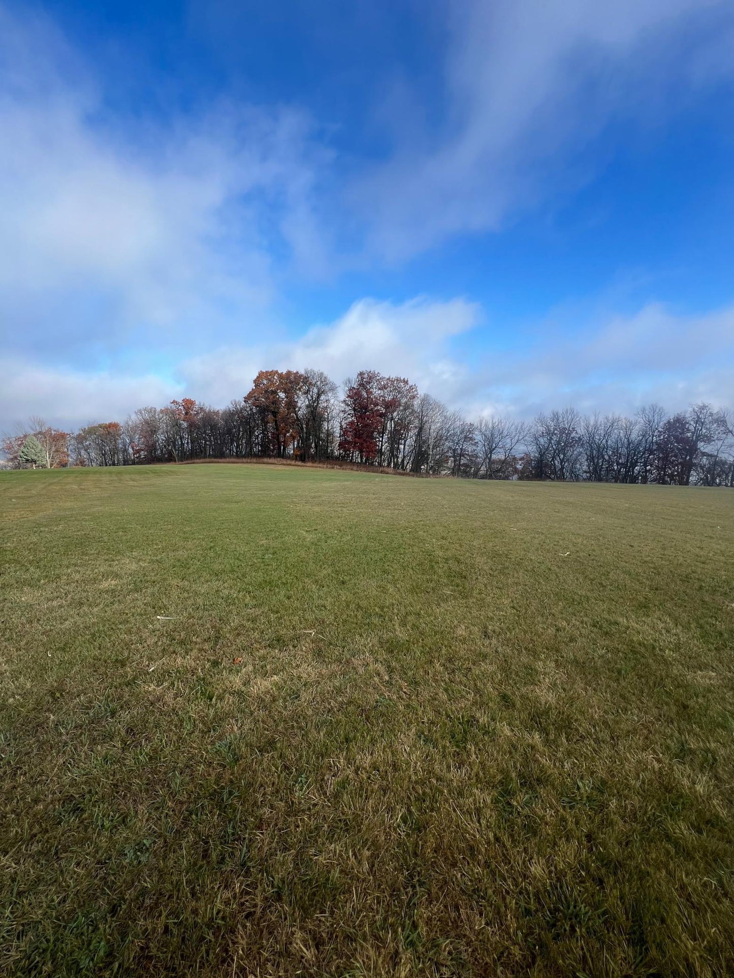 Lot 9 177th Avenue , Wabasha, MN 55981