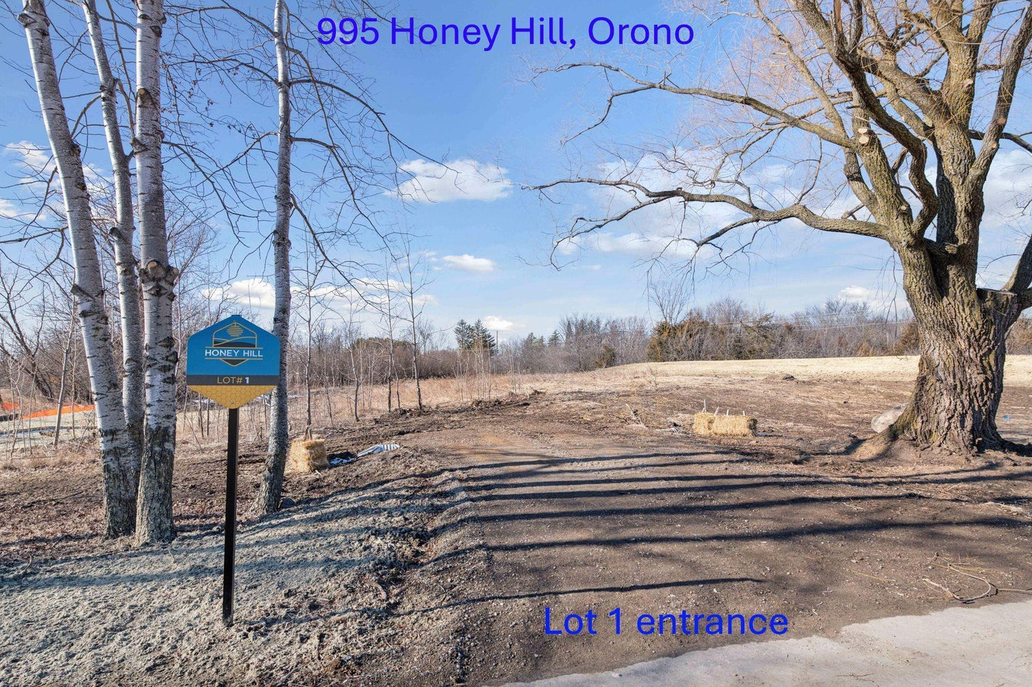 995 Honey Hill , Orono, MN 55356