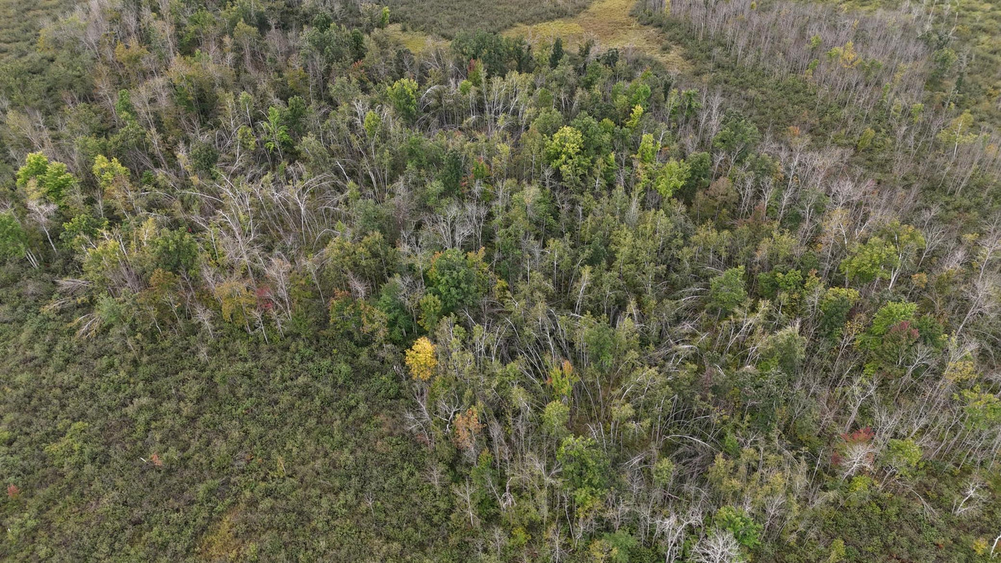 TBD Rainbow Trout Trail , Sandstone, MN 55072