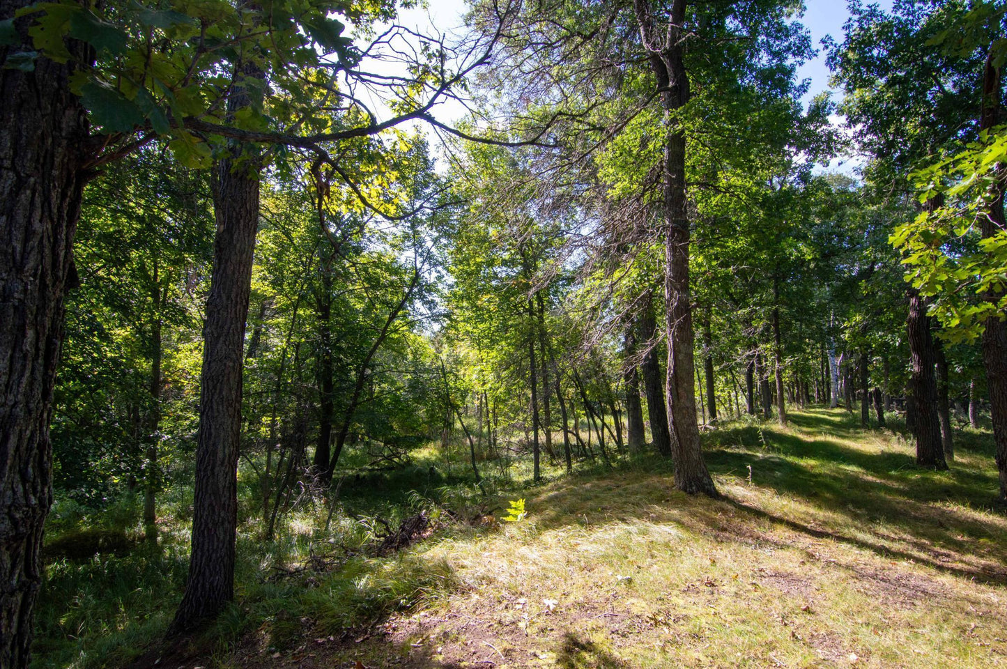 TBD Deacons Way, Pequot Lakes, MN 56472