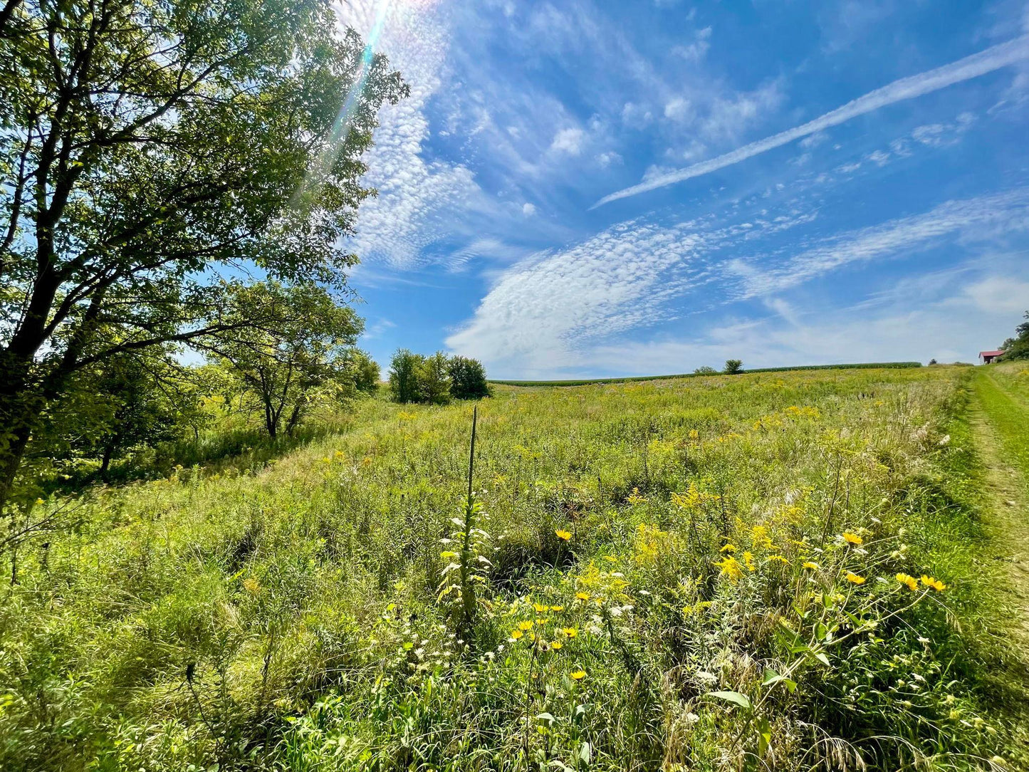 TBD County 8 , Spring Grove Twp, MN 55954