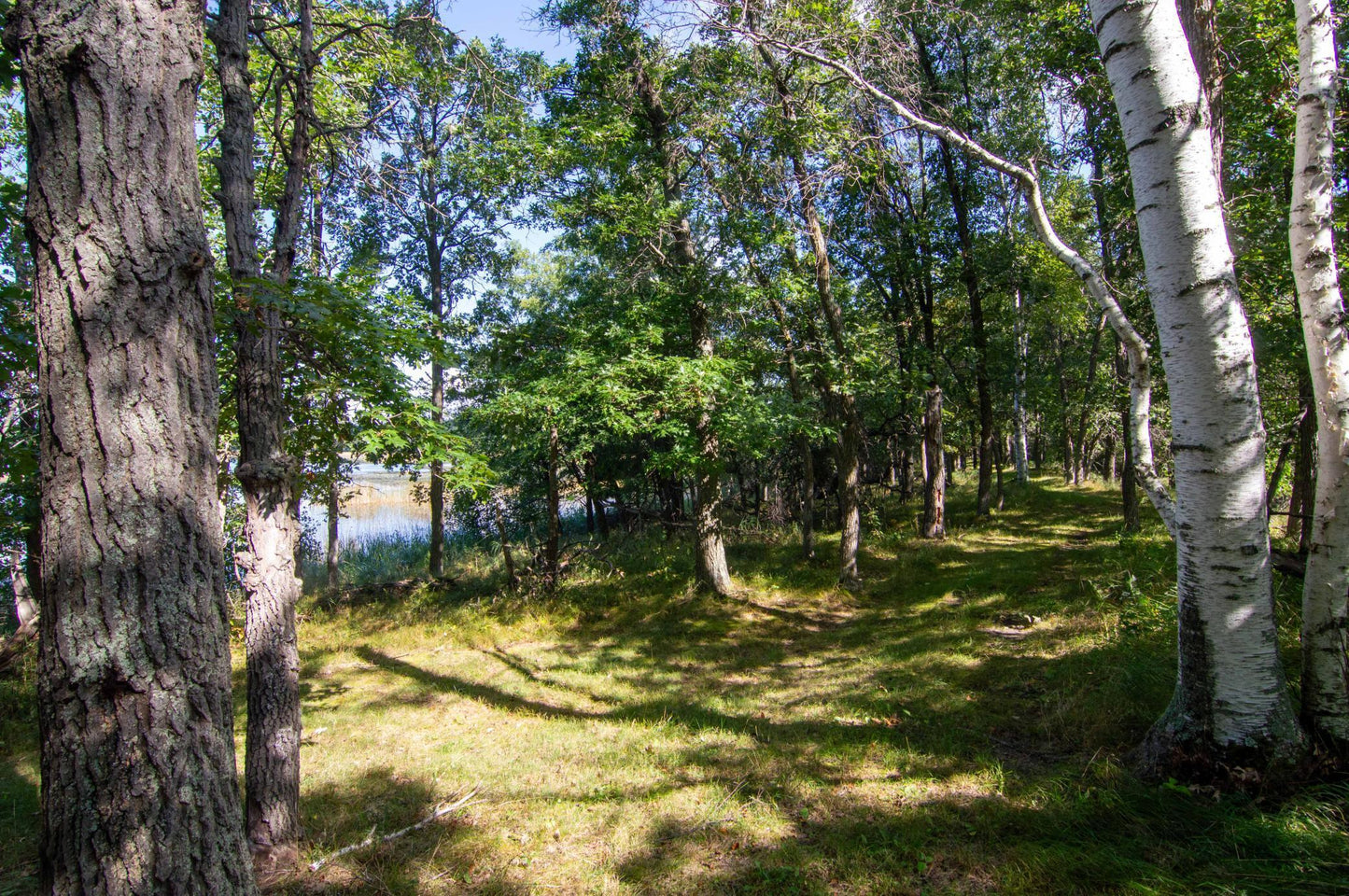 TBD Deacons Way, Pequot Lakes, MN 56472