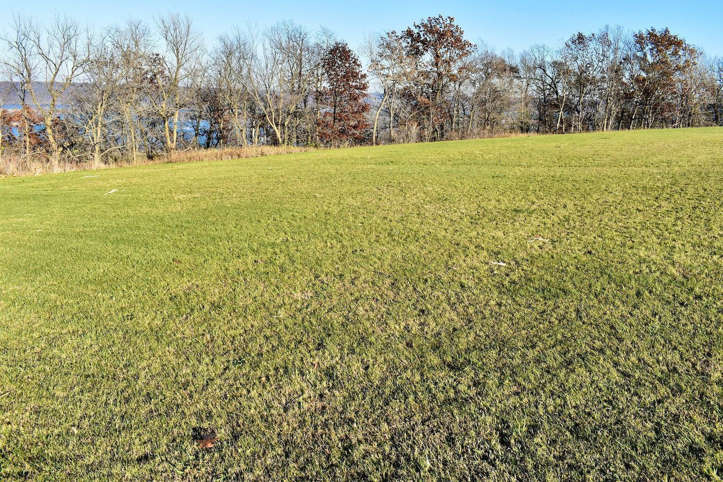 Lot 9 177th Avenue , Wabasha, MN 55981