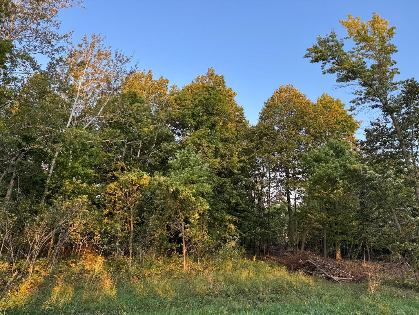 (LOT A) TBD Rock Lake Road, Rochert, MN 56578