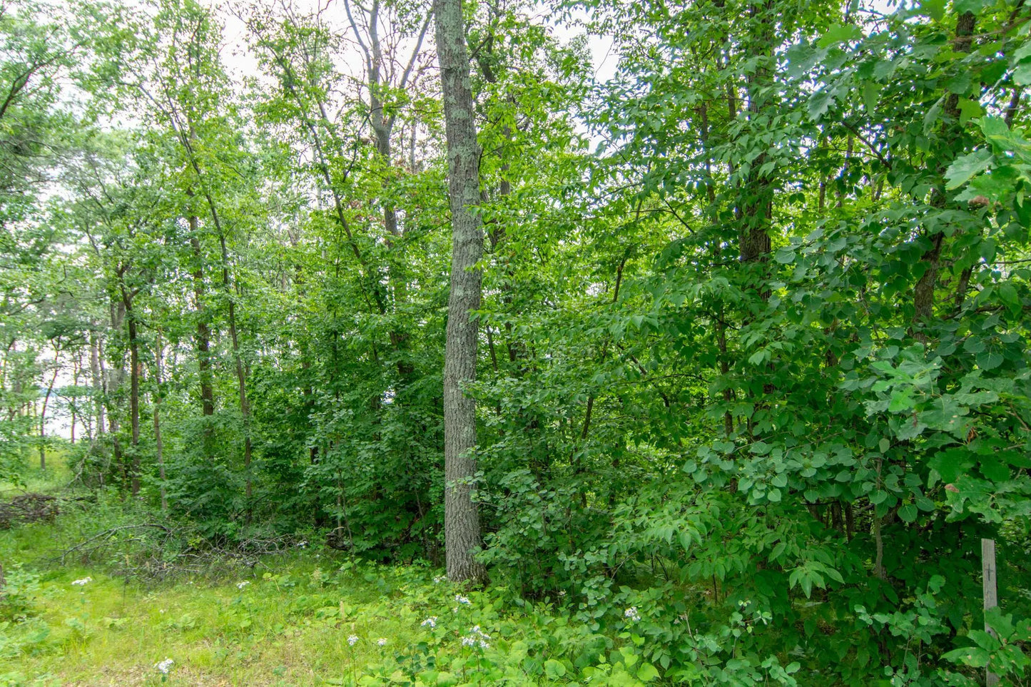 Lot 4 Blk 1 County Road 145 , Pequot Lakes, MN 56472