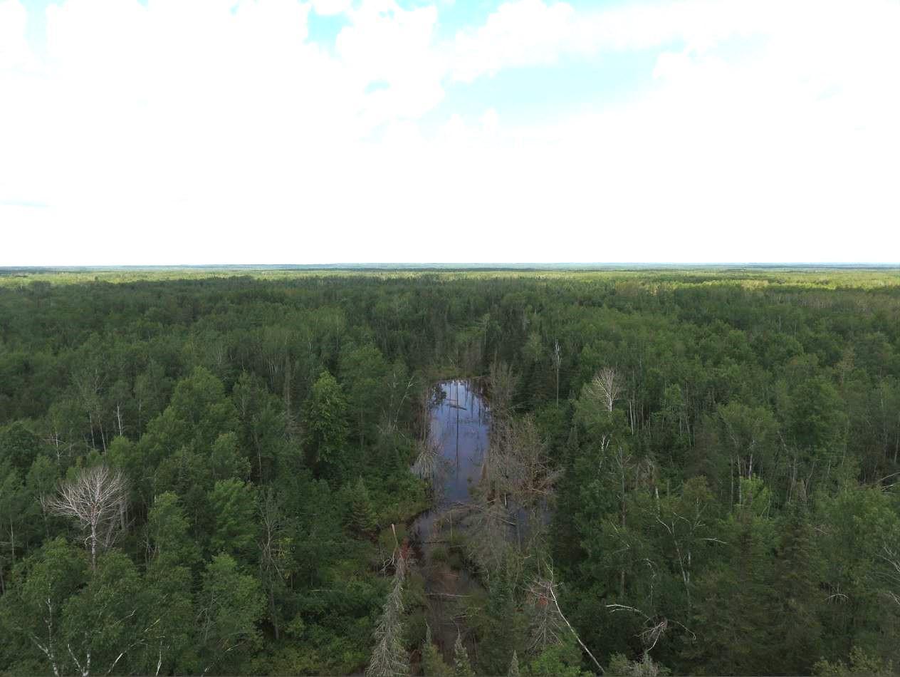 XX40 acres W Center Road , Clear Creek Unorg. Terr., MN 55707