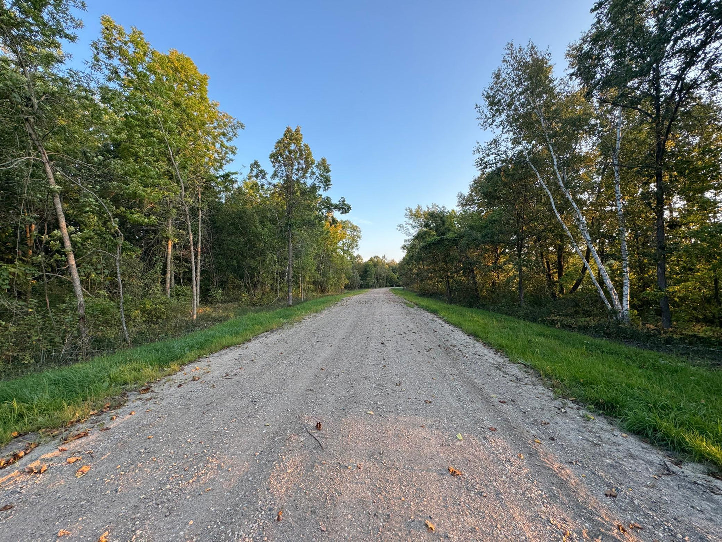 (LOT 3) TBD Rock Lake Road, Rochert, MN 56578