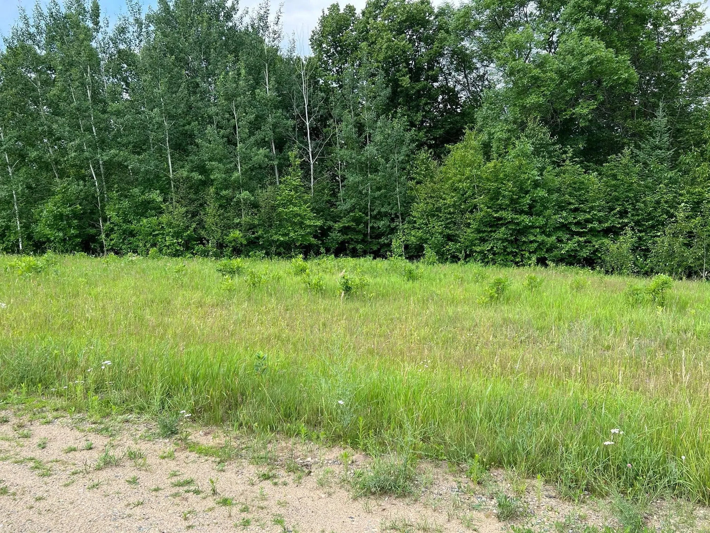 Lot 4 Tango Drive, Helga Twp, MN 56601