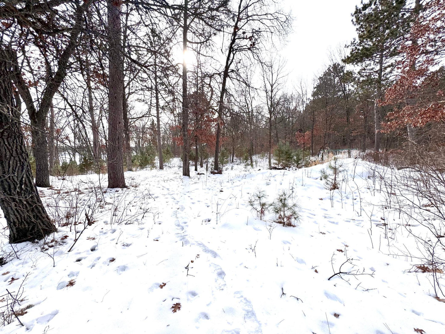 TBD 141st Avenue, Blueberry Twp, MN 56464