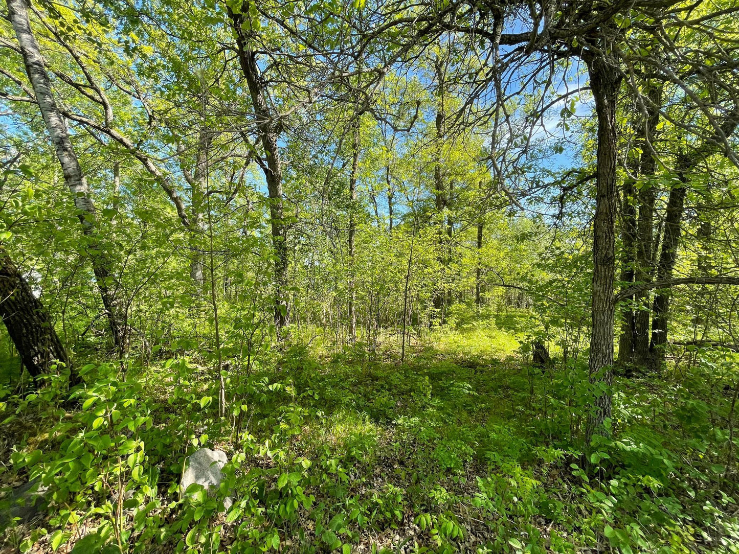 TBD Wedgewood Road, Walker, MN 56484