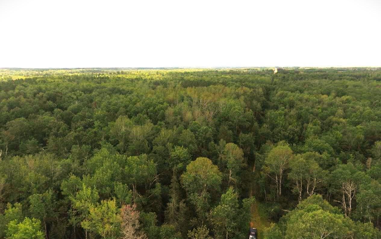 XX40 acres W Center Road , Clear Creek Unorg. Terr., MN 55707