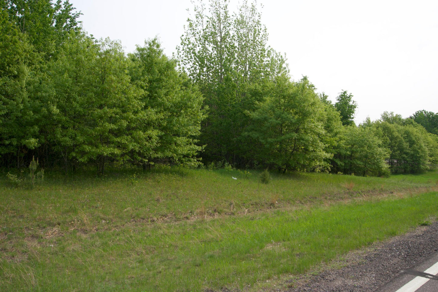 XXX Lot 3 283rd Avenue, Zimmerman, MN 55398