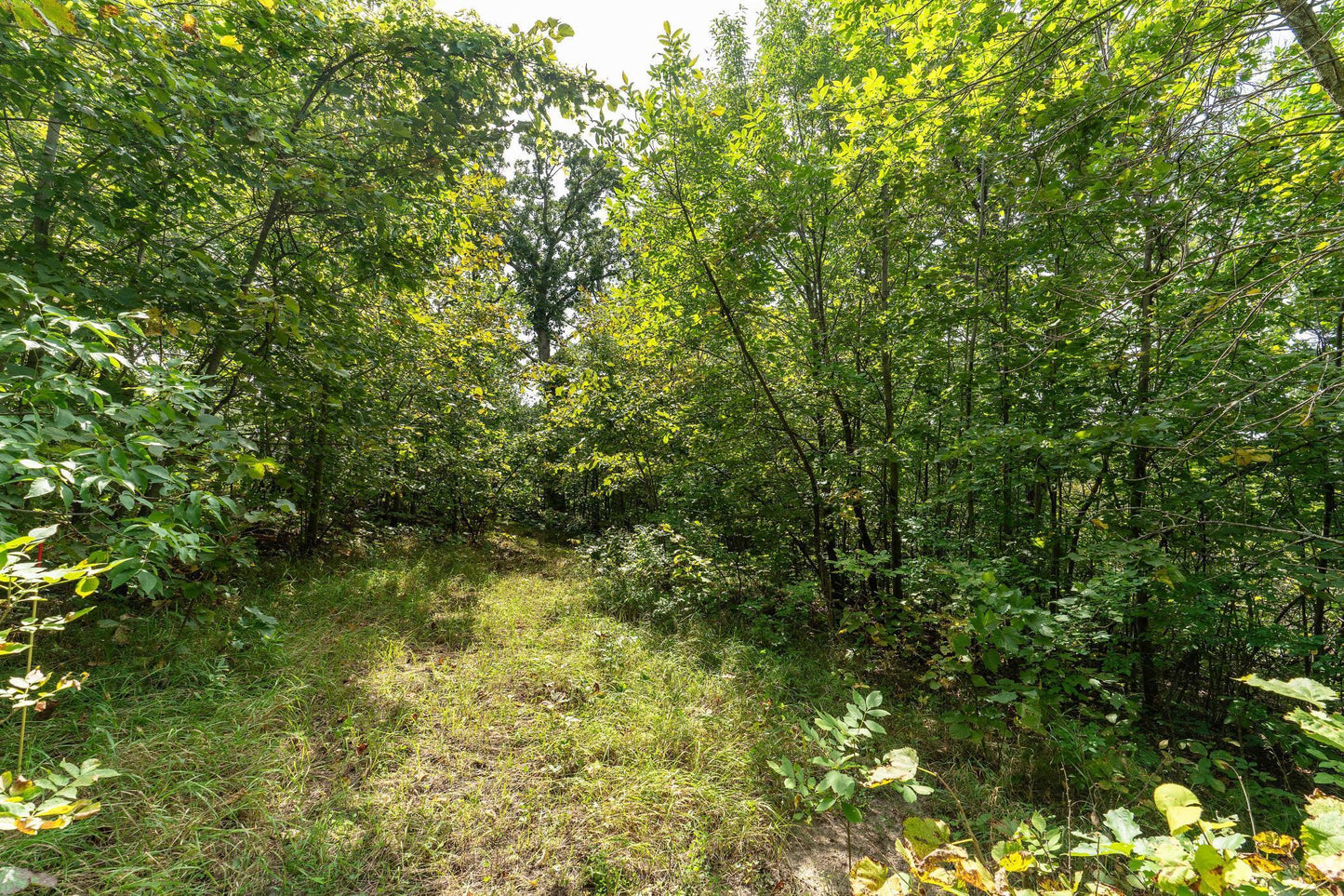 Lot D 202nd Avenue, Fergus Falls, MN 56537