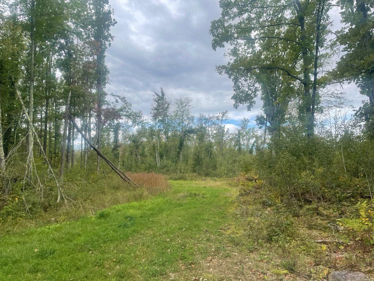 TBD Rainbow Trout Trail , Sandstone, MN 55072