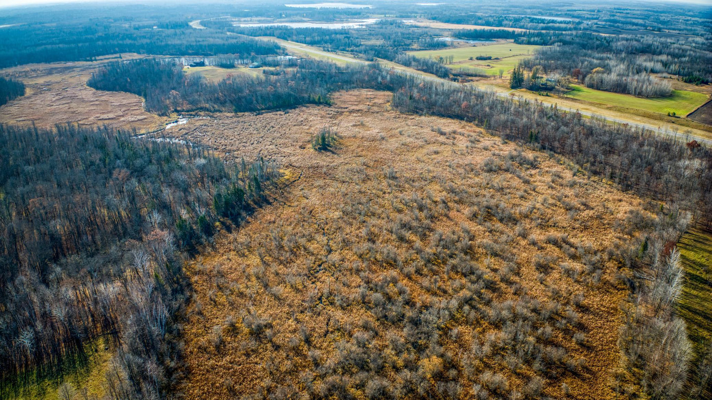 TBD Hwy 89 , Puposky, MN 56667