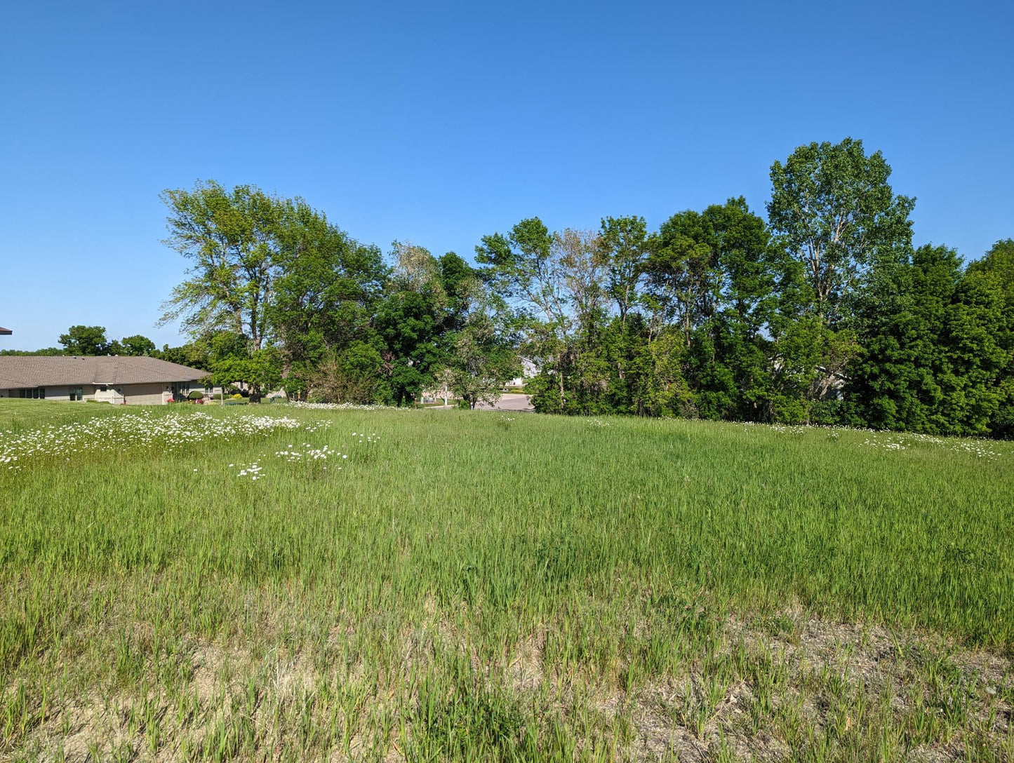 tbd Lake Chapeau Drive, Albert Lea, MN 56007