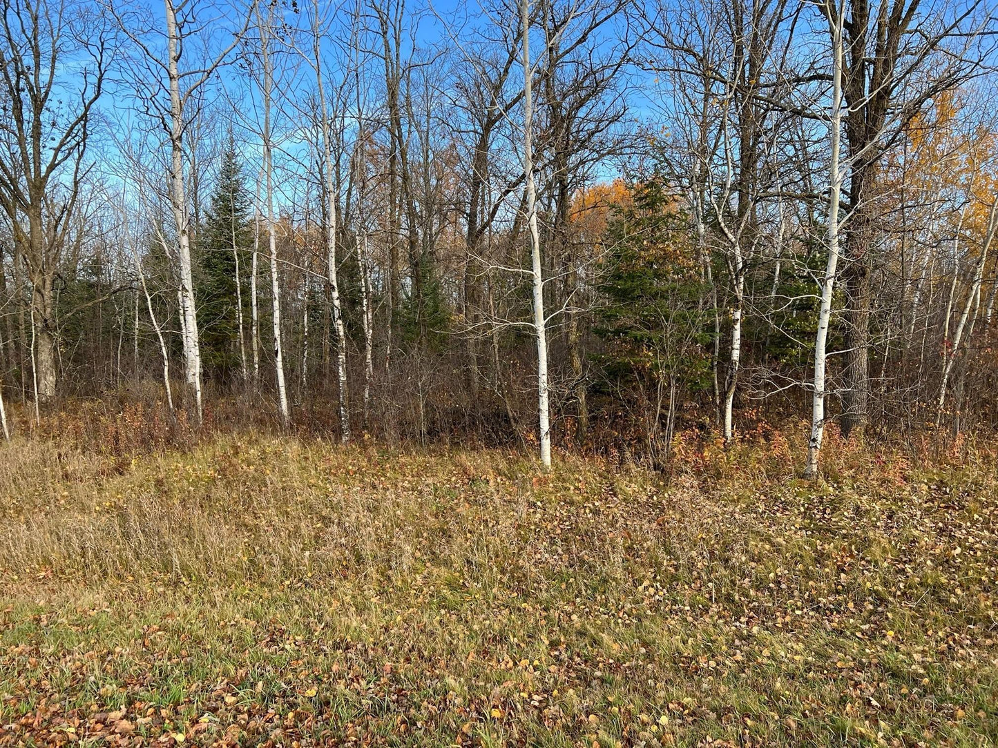 TBD Tango Drive, Helga Twp, MN 56601