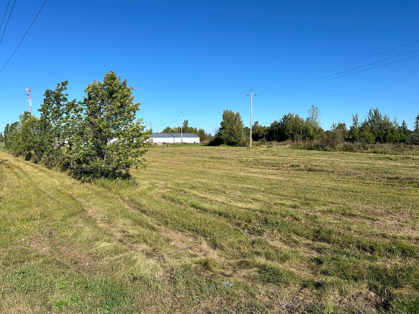 TBD State Hwy 11 , Warroad, MN 56763