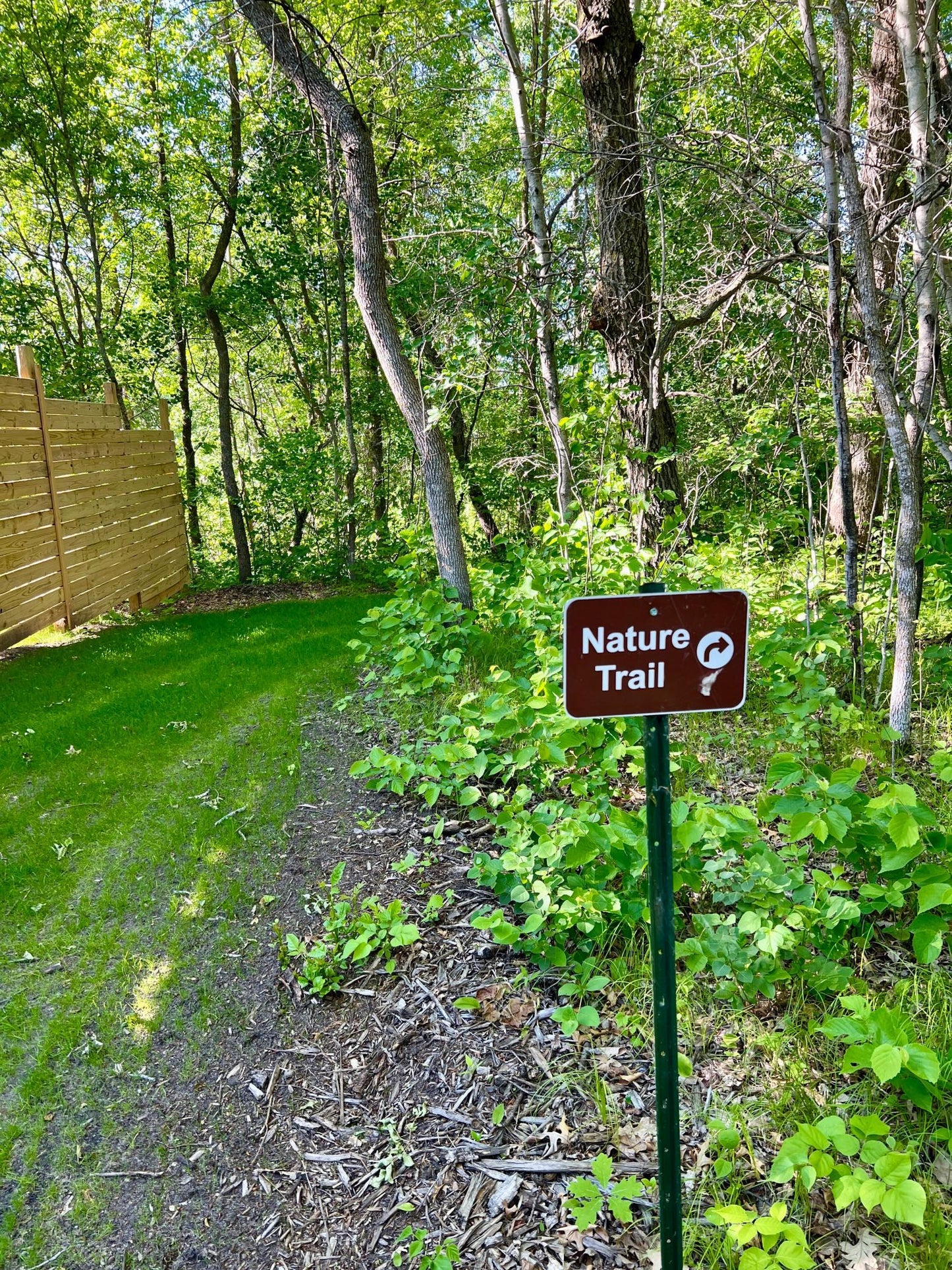 Lot A Norwood Lane , Battle Lake, MN 56515