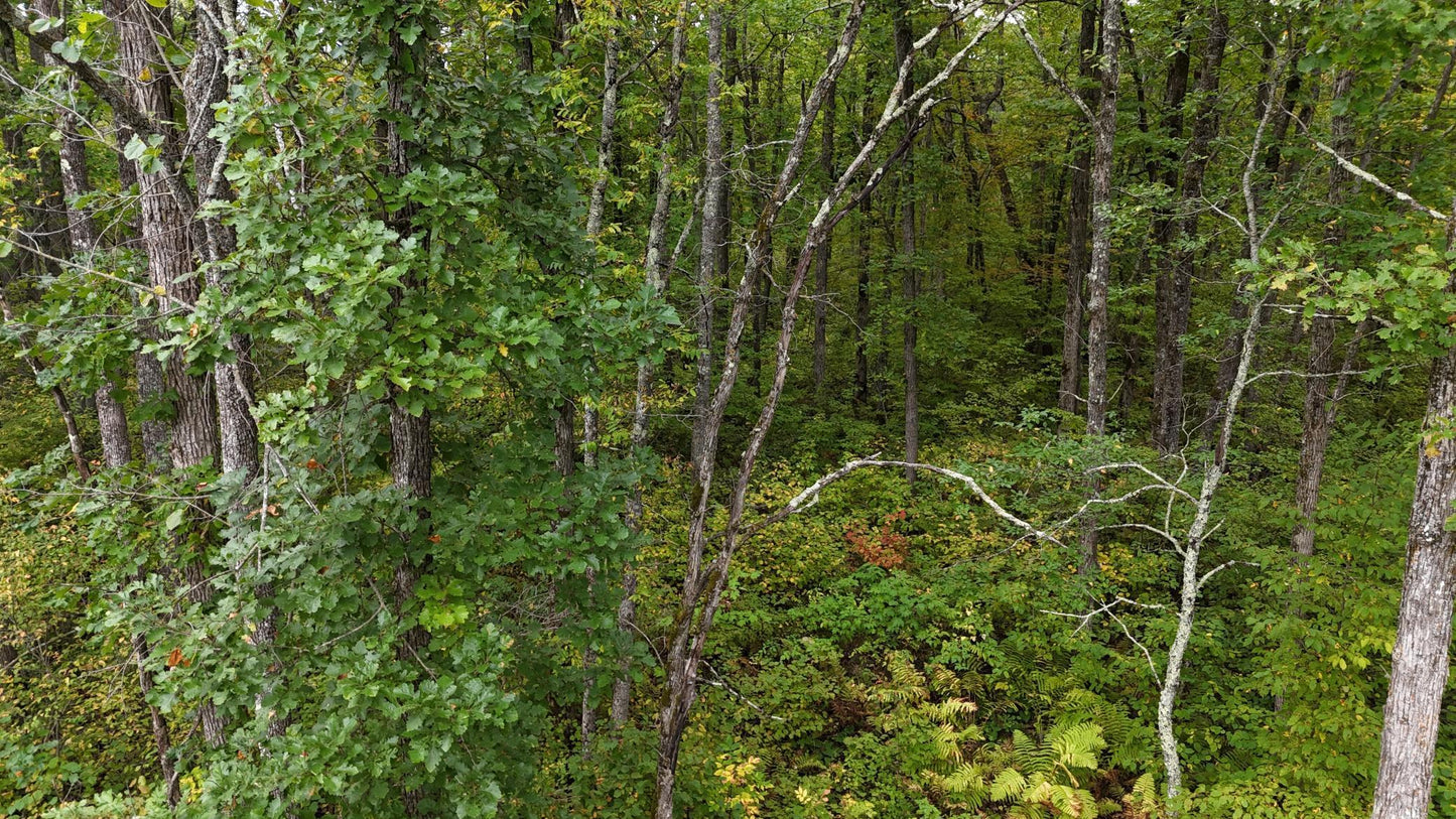 TBD Rainbow Trout Trail , Sandstone, MN 55072