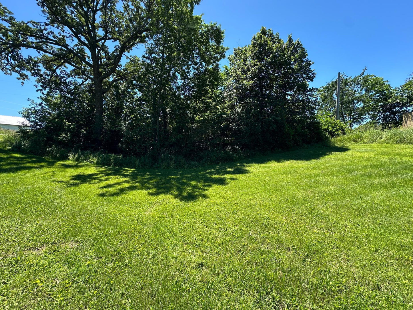 TBD Flicker Road, Burnhamville Twp, MN 56318