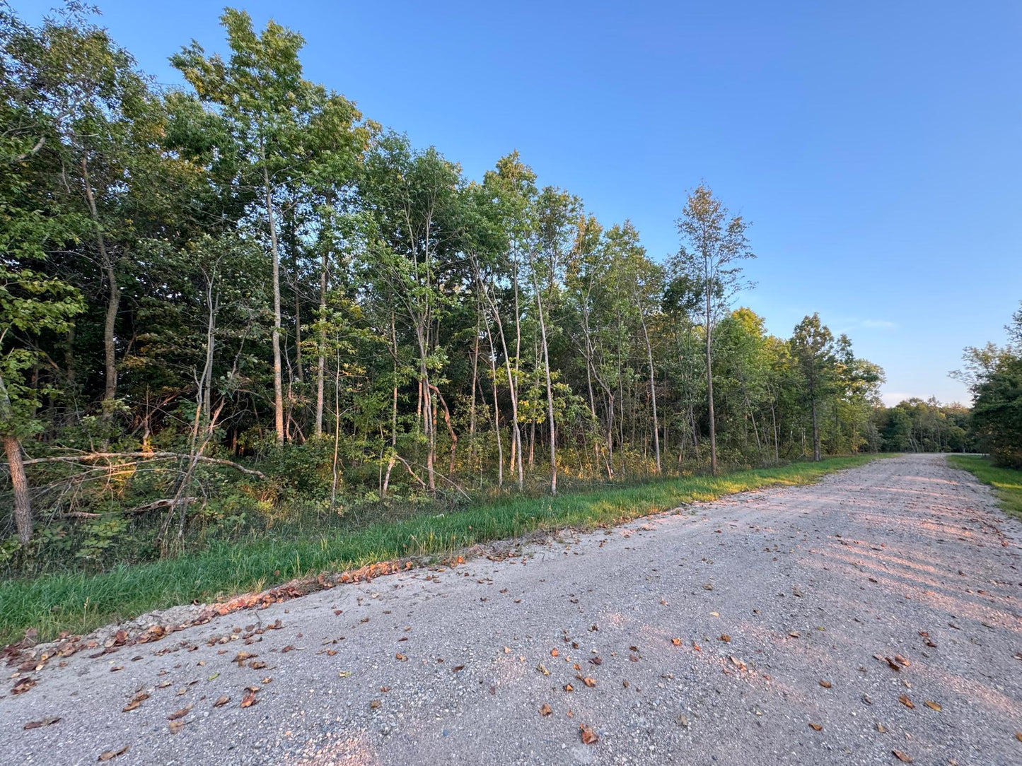 (LOT 1) TBD Rock Lake Road, Rochert, MN 56578