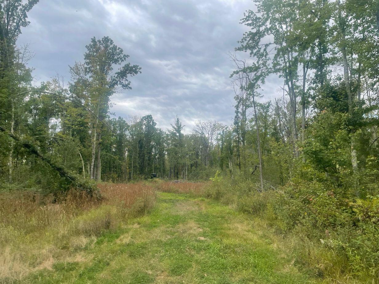 TBD Rainbow Trout Trail , Sandstone, MN 55072