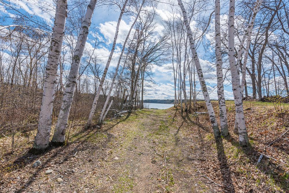 TBD - Lot 3 Hurtig Road , Pequot Lakes, MN 56472