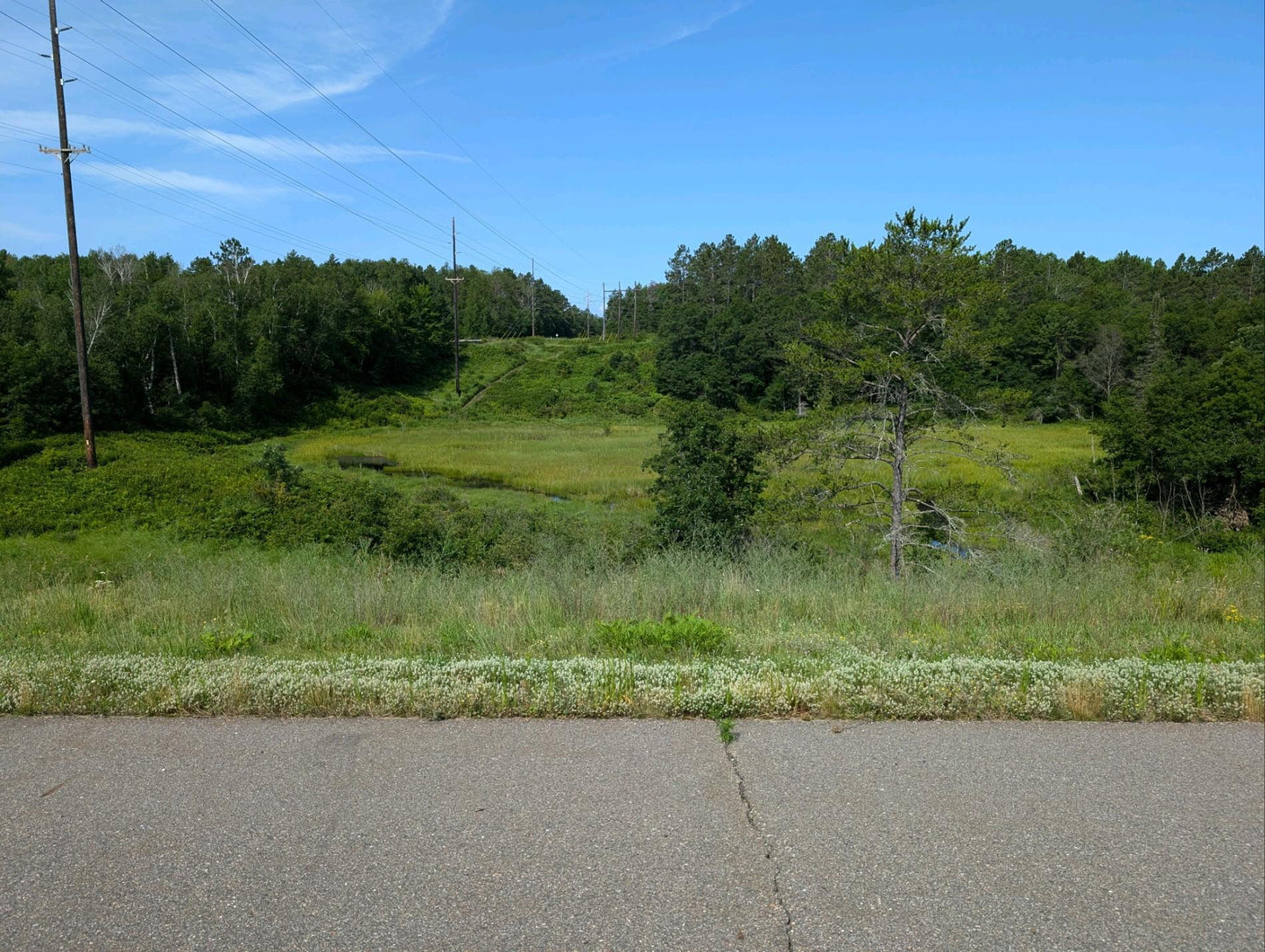 TBD MN Hwy 371 , Pequot Lakes, MN 56472