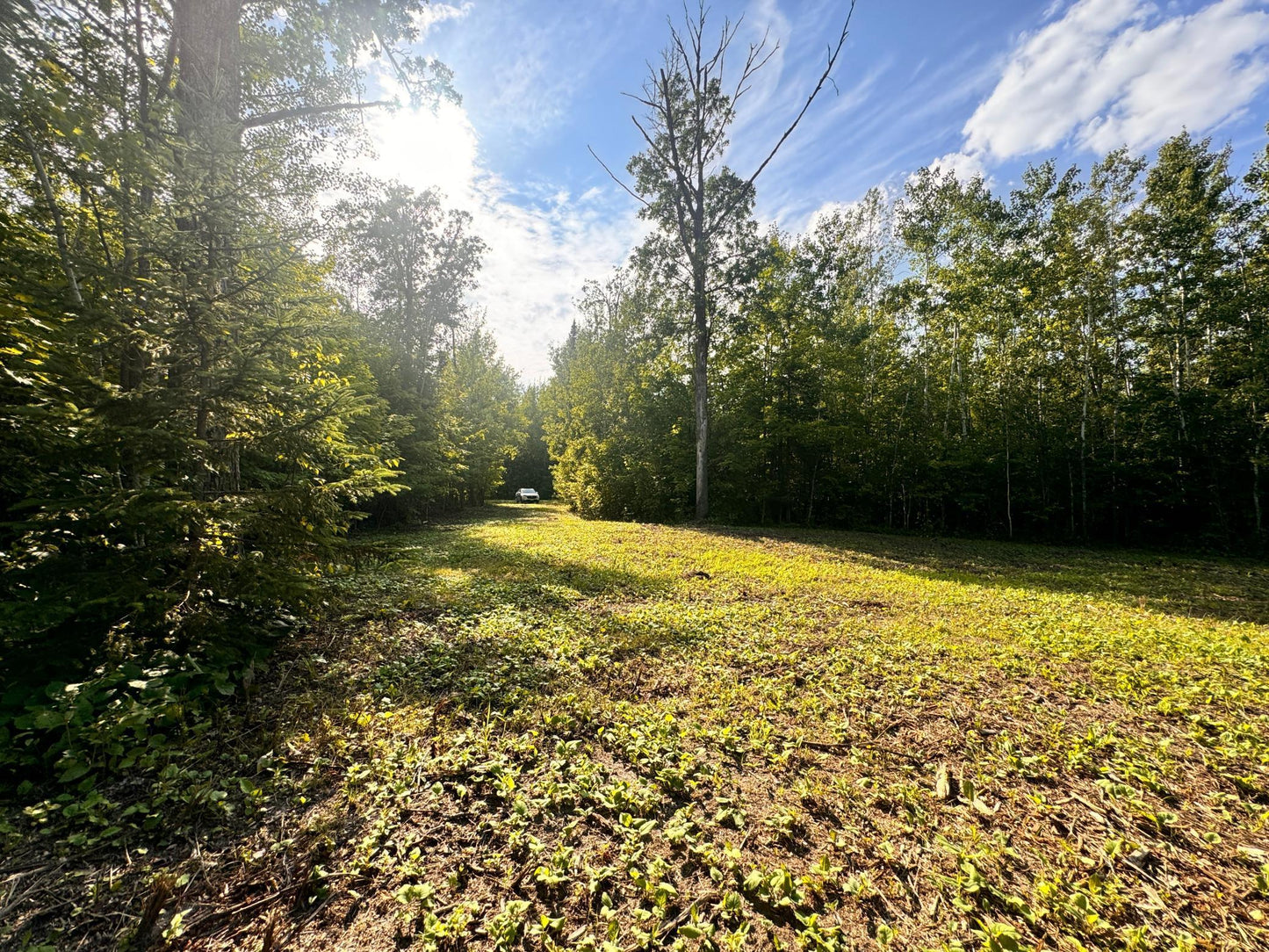 TBD Vagabond Loop Vagabond Loop , Bemidji, MN 56601