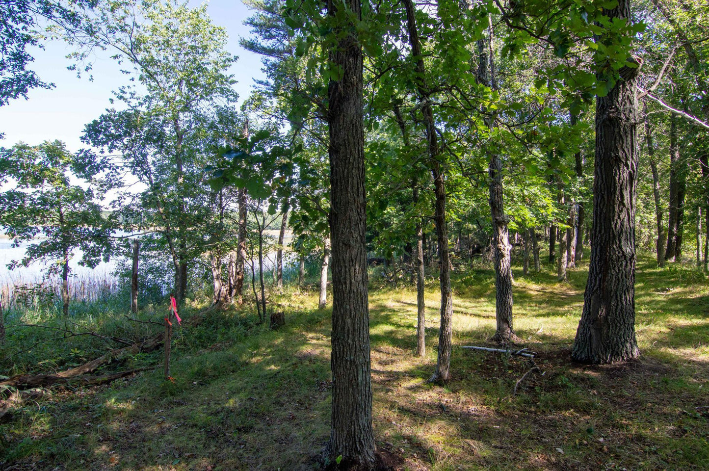 TBD Deacons Way, Pequot Lakes, MN 56472