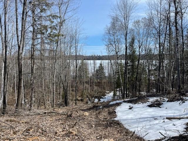 TBD Lot 5 New Manz Drive, Lake George, MN 56458