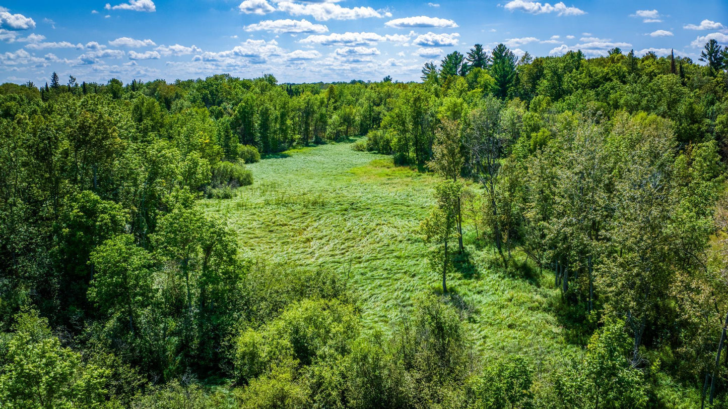 TBD Silver Maple Road, Maple Ridge Twp, MN 56667