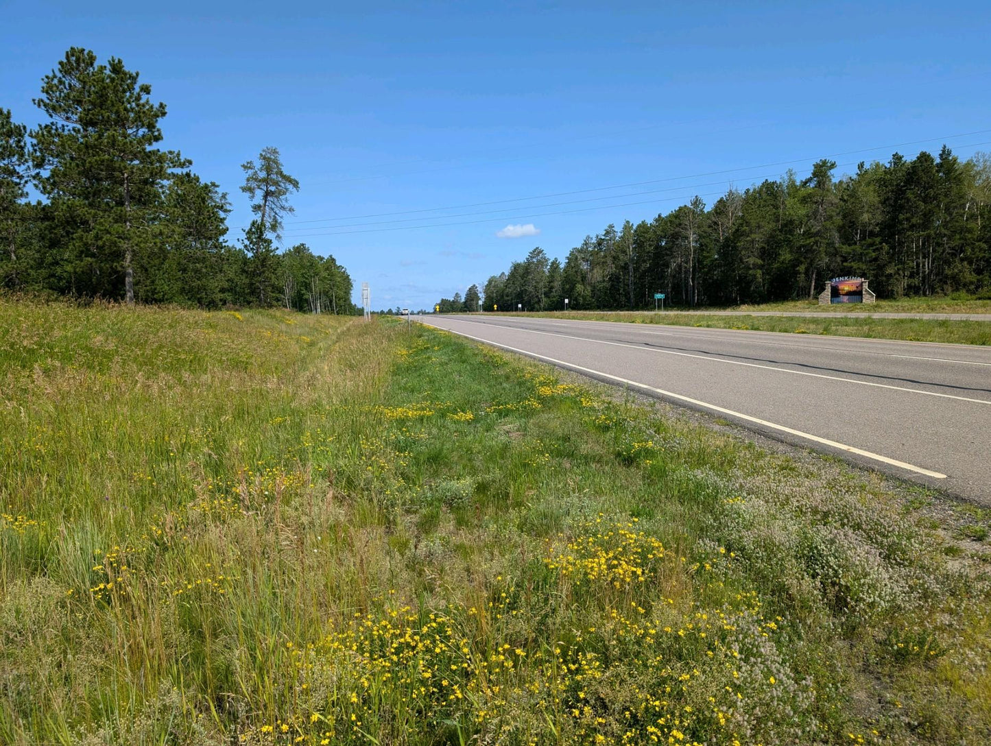 TBD MN Hwy 371 , Pequot Lakes, MN 56472