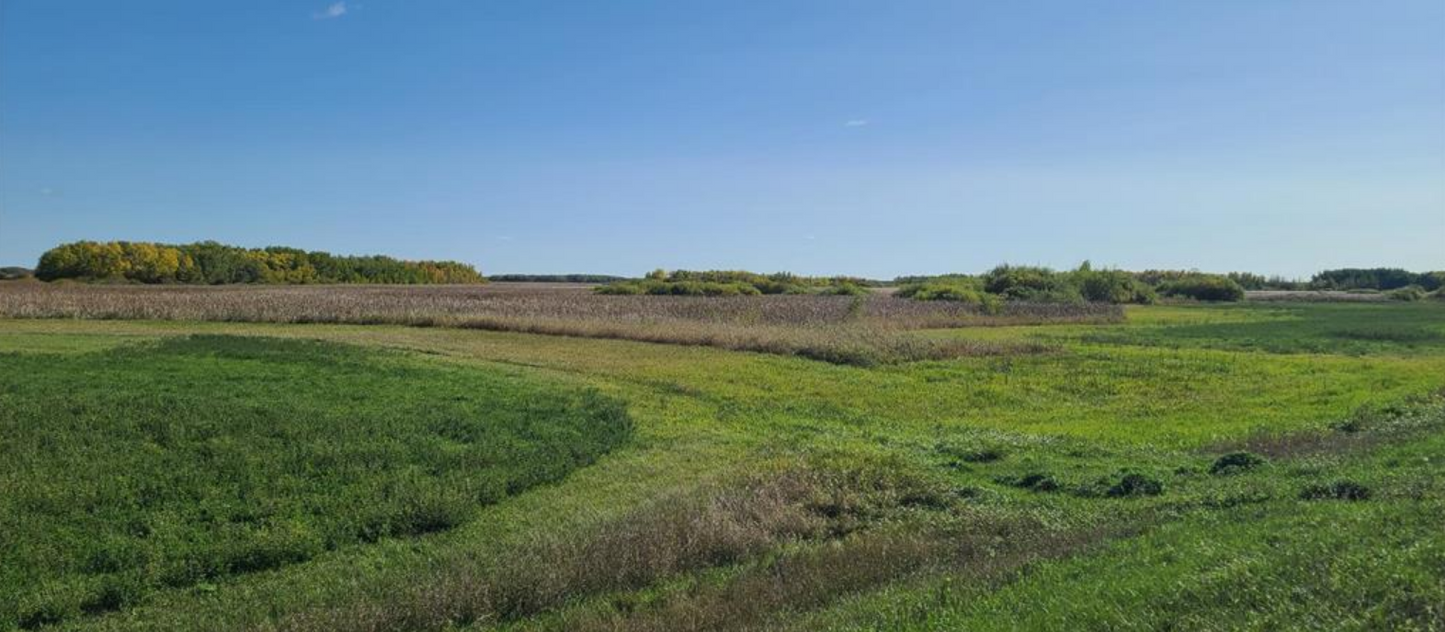 TBD Co Rd 114 , Strandquist, MN 56758