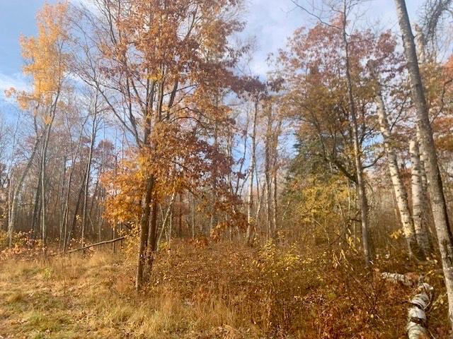 TBD County 4 - Lot 9 , Lake George, MN 56458