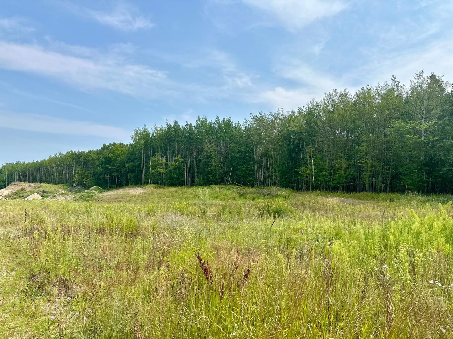 TBD-Lot 8 Ottertail Road, Walker, MN 56484