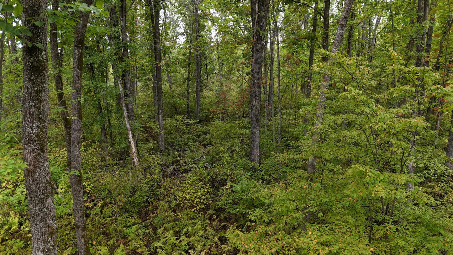 TBD Rainbow Trout Trail , Sandstone, MN 55072